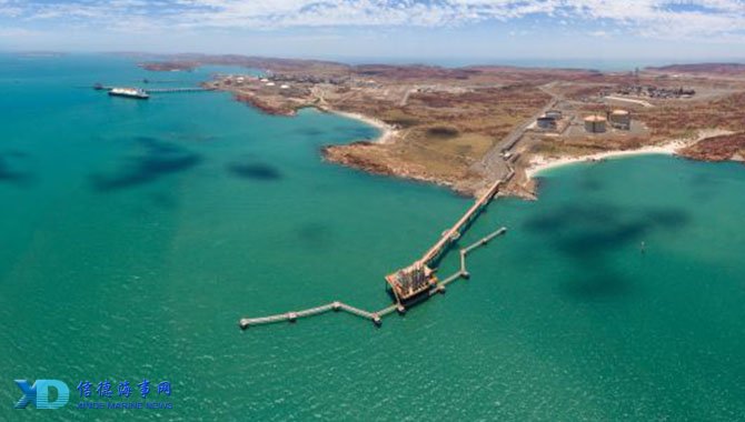 CBA赛季亮点回顾：精彩进球集锦,（CBA赛季高光回放：绝妙得分集锦）